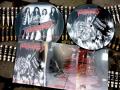 TORMENTRESS: Thrashing Disorder