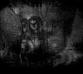 WHITE MIST: White Mist