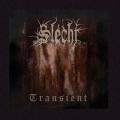 SLECHT: Transient