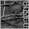 FEIGUR: II, Desolation