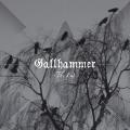 GALLHAMMER: The End