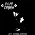 VLAD TEPES: Into Frosty Madness