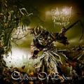 CHILDREN OF BODOM: Relentless Reckless Forever
