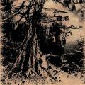 W.A.I.L.: Wisdom Through Agony Into Illumination And Lunacy 2ND HAND