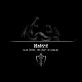 BLODSRIT: The Well of Light Has Finally Dried LS XL-size