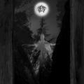 TAATSI: Amidst the Trees