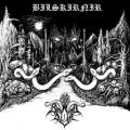 BILSKIRNIR / BARAD D&Ucirc;R: Lost Forever / Selbstmord