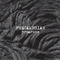 PRECAMBRIAN: Proarkhe
