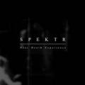 SPEKTR: Near Death Experience