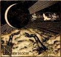 SWALLOW THE SUN: New Moon 