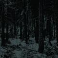 MOLOCH: Abstrakter Wald