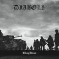 DIABOLI: Wiking Division