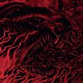 ILL OMENED: Conflagration Roaring Hell