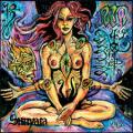 ACRIMONIOUS: Sunyata