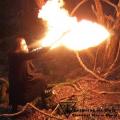DROWNING THE LIGHT: Diabolical Winter Spells