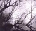 ASTROFAES: Knowing no Dawn