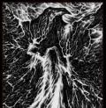 BLOOD STRONGHOLD: The March of Apparitions