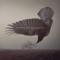 KATATONIA: The Fall of Hearts